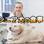 シニア犬の食事｜シニア犬のフード（ごはんやおやつ）は？